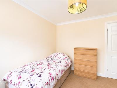 Picture 19